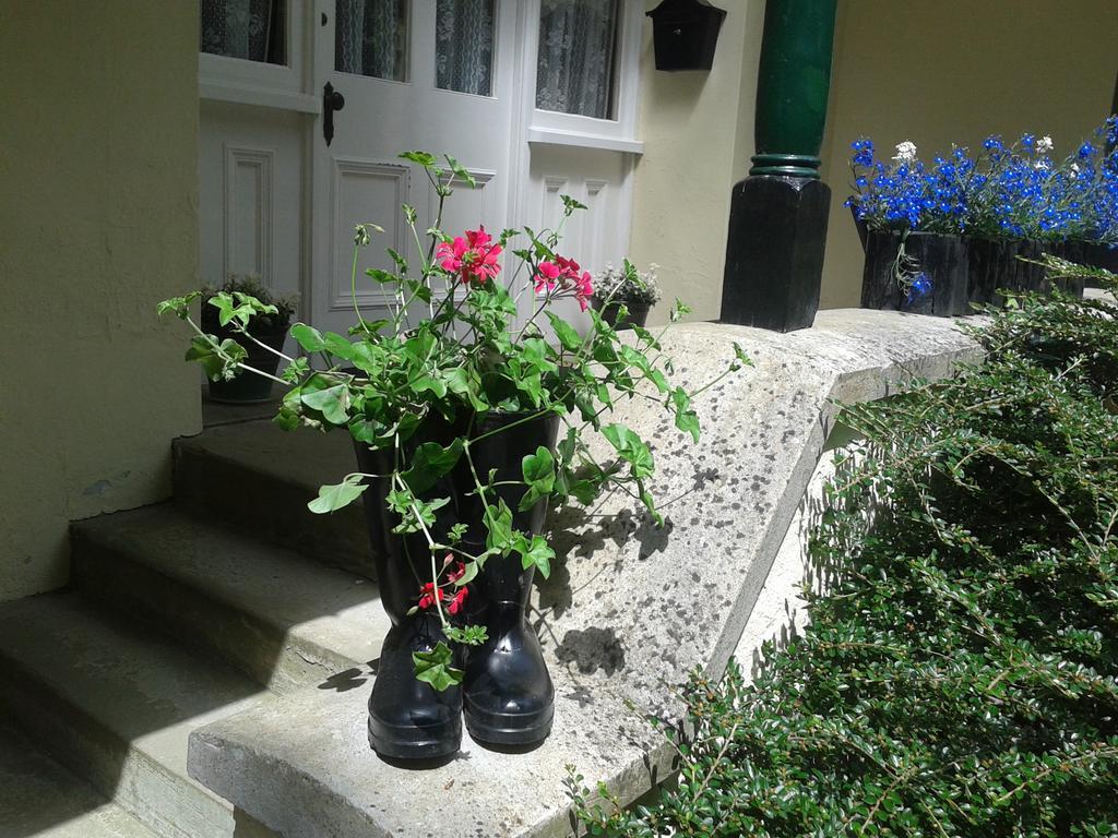 Westleigh House Farm Bed & Breakfast Bideford Rom bilde